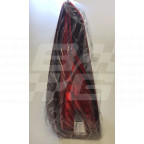 Image for Drivers side rear lamp assembly MG GS
