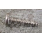 Image for CHROME POZIPAN SCREW No.6x0.75