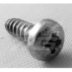 Image for SCREW POZIPAN No10 x 0.625 INCH