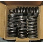 Image for MGA Twin-Cam Valve spring set