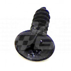 Image for Flanged Screw (Black) MGF TF