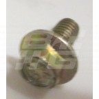Image for Screw M5 X 10mm