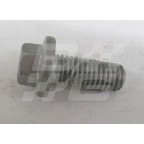 Image for Screw flanged head M8 X 20mm