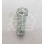 Image for CARB SCREW CHAMBER TO BODY