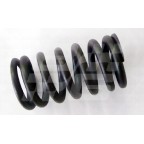 Image for Valve spring Rover 45 MG ZS 'T' series