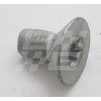 Image for Screw Torx countersunk R75 ZT