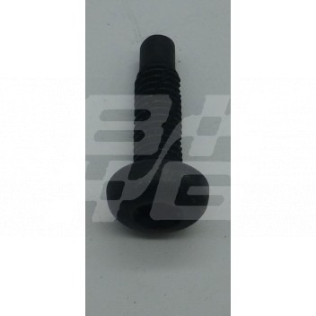 Image for Screw Black