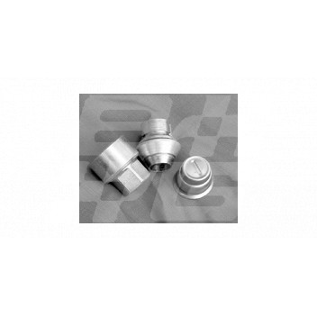 Image for LOCKING WHEELNUT KIT