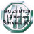 Image for Service Kit for MG ZS MY20 Manual 1.5