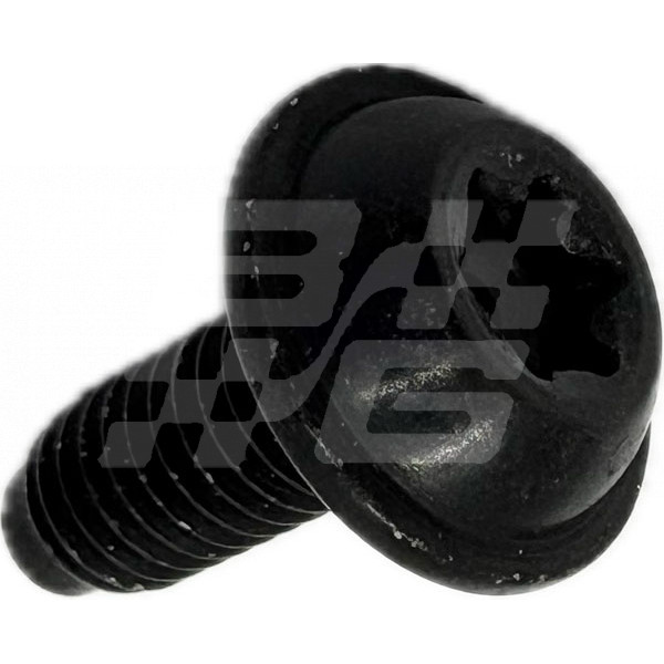 Image for Flanged Screw