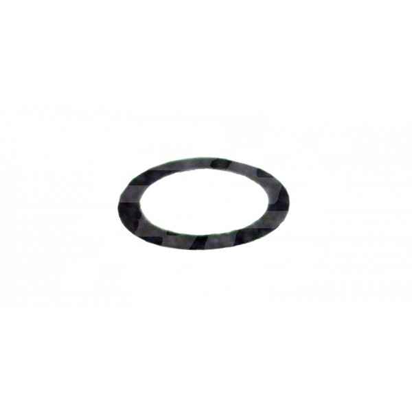 Image for WASHER FOR CAGE F/PUMP