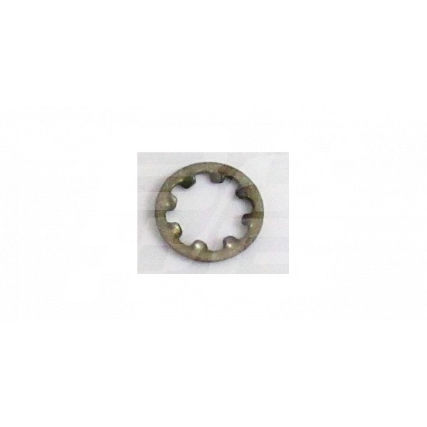 Image for Shake Proof Washer Int  1/4 INCH (Pack 10)